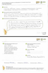 Domestic Abu...tion Program.png