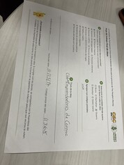 IMG_5317.jpeg